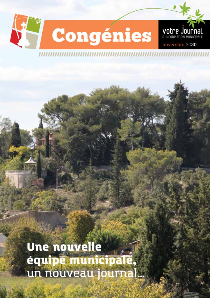 thumbnail of VOTRE-JOURNAL-NOVEMBRE-2020-11-05